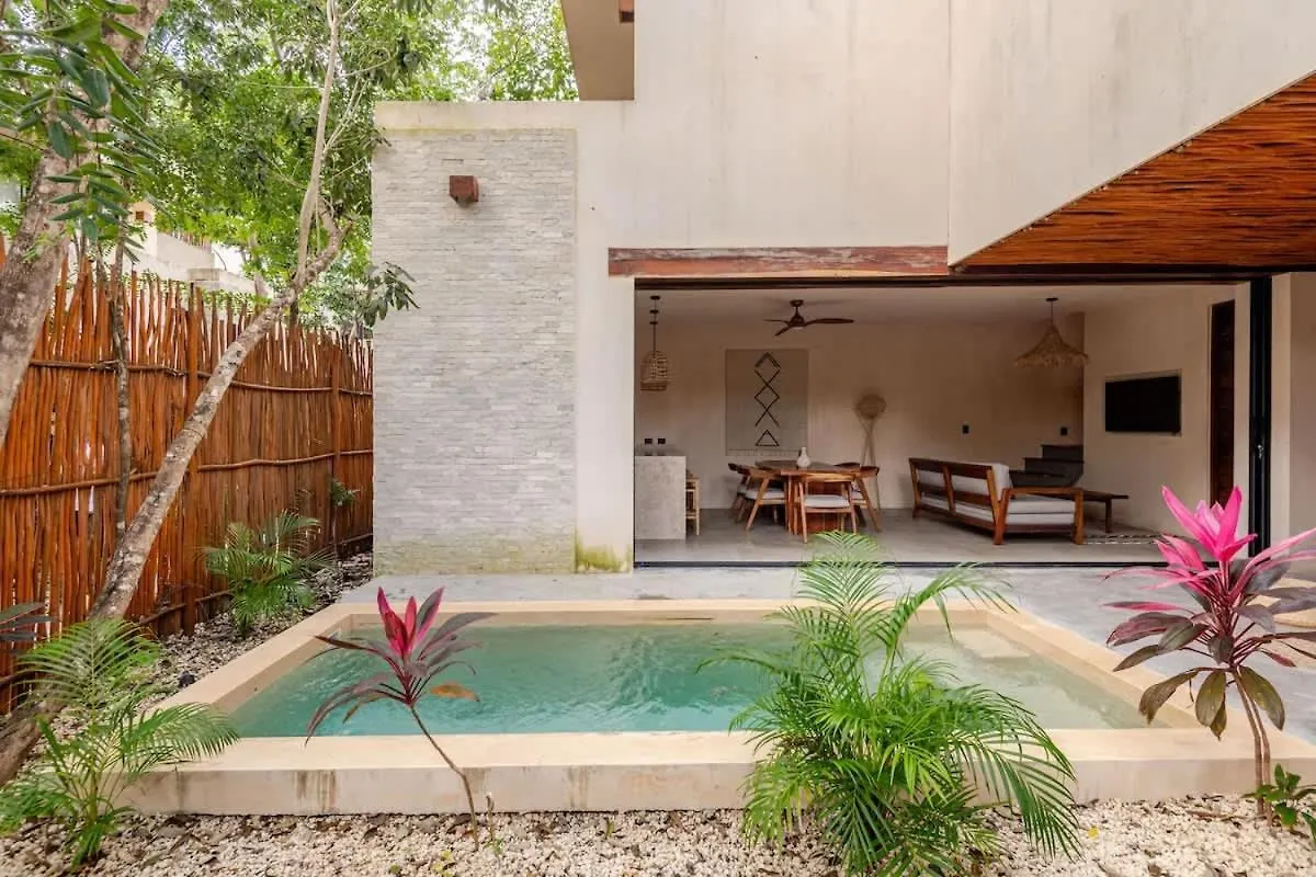 Villa Bambu Con Alberca Privada En Tulum