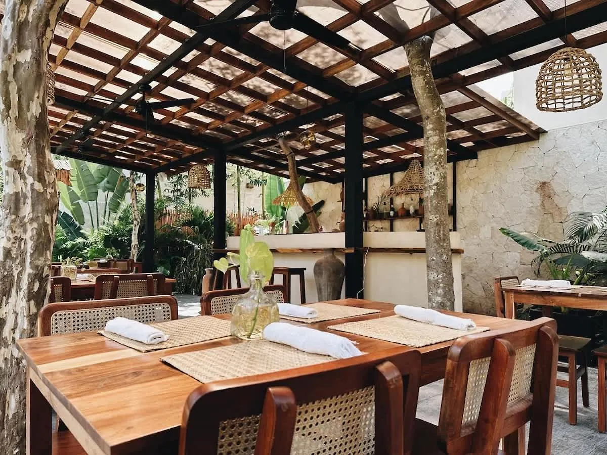 Villa Bambu Con Alberca Privada En Tulum Mexico