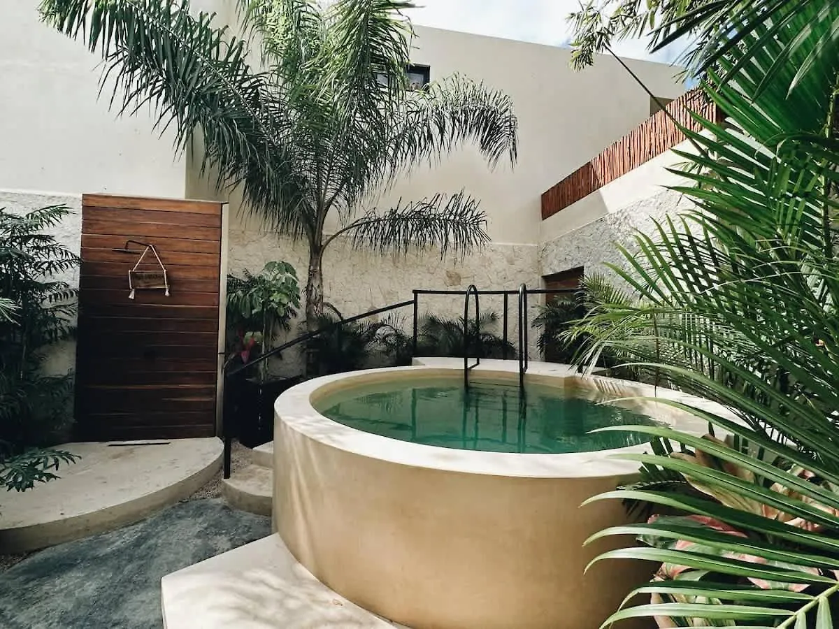Villa Bambu Con Alberca Privada En Tulum