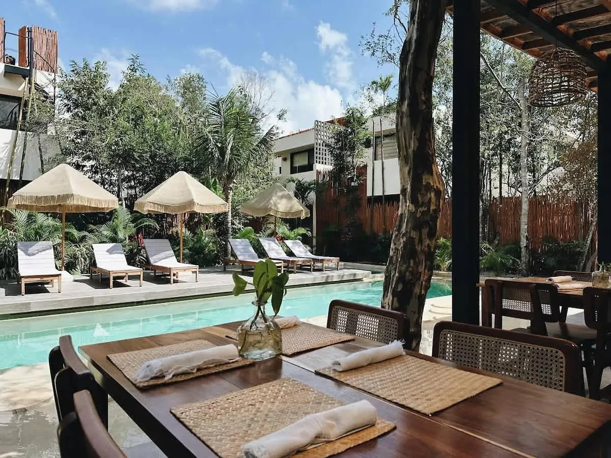 Villa Bambu Con Alberca Privada En Tulum