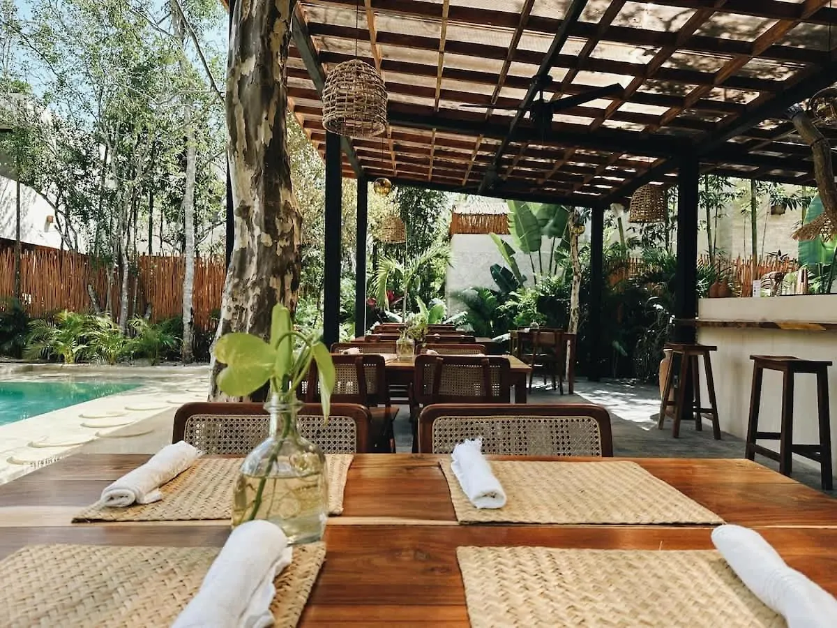 Villa Bambu Con Alberca Privada En Tulum Mexico