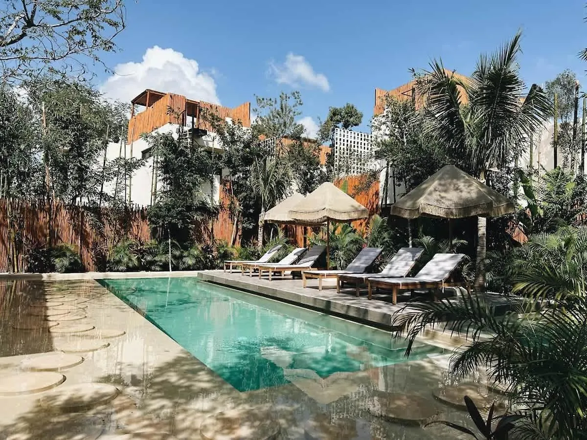Villa Bambu Con Alberca Privada En Tulum
