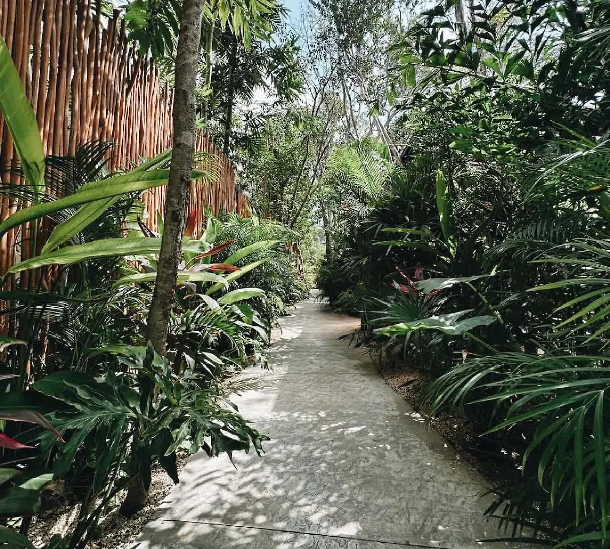 Villa Bambu Con Alberca Privada En Tulum